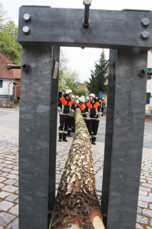 Maibaum aufstellen 3