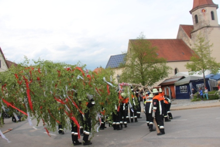 Maibaum aufstellen 4