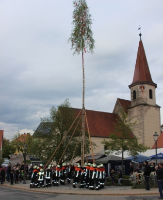 Maibaum aufstellen 5