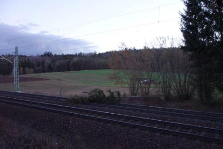 Sturm Maerz 2019